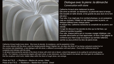 dialogue avec la pierre officiel